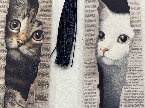 Peek book cats - peek-a-book, set