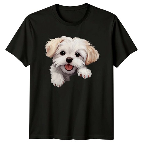 Cute maltese puppy - puppy, dog